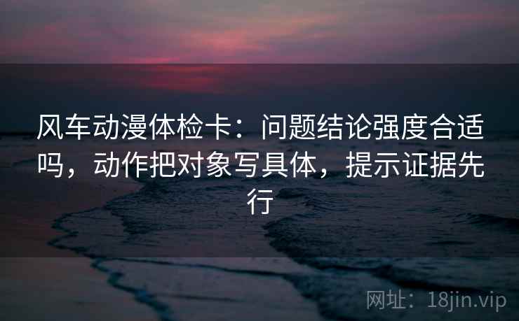 风车动漫体检卡：问题结论强度合适吗，动作把对象写具体，提示证据先行